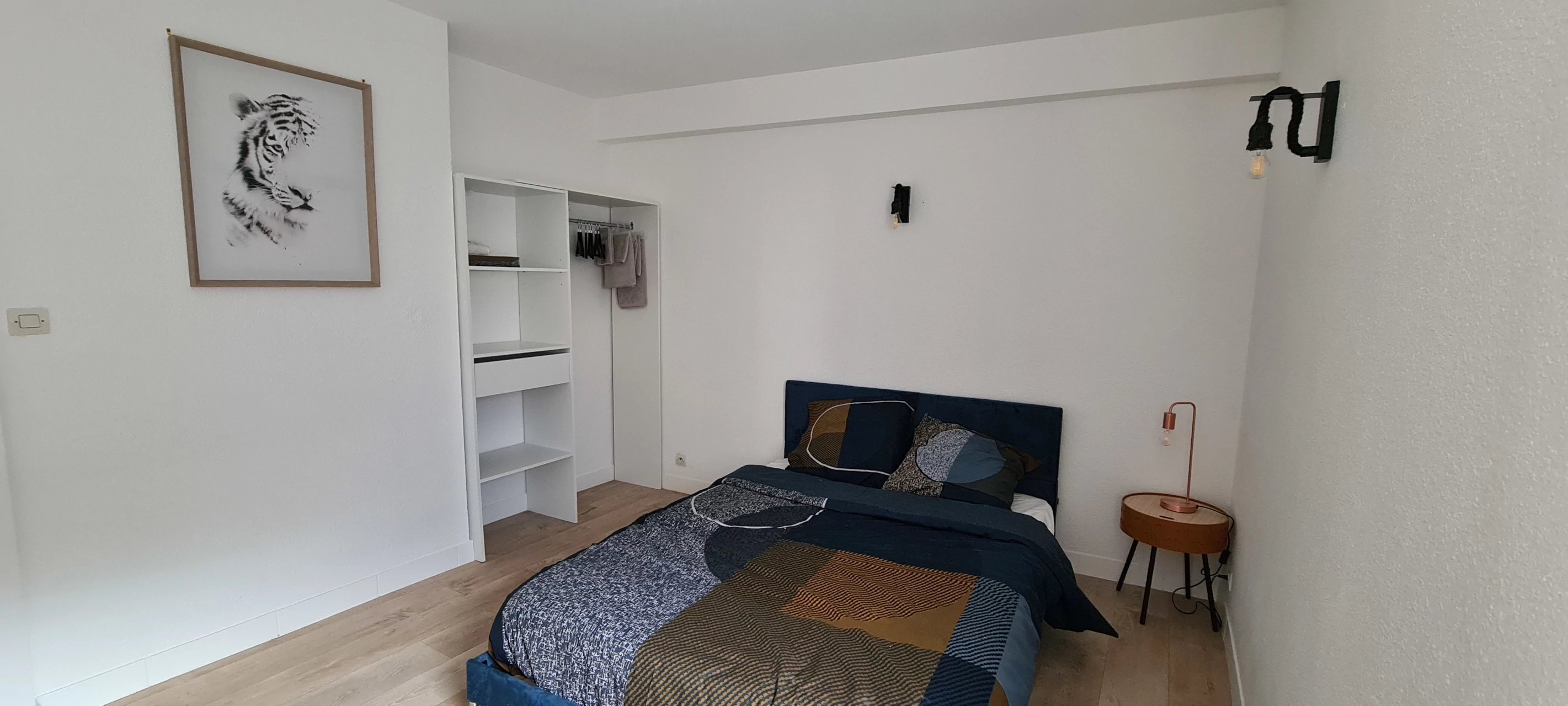 Chambre Tiger Room RDC T5 colocation Limoges